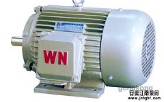 化工泵電機(jī)常見問題小結(jié)